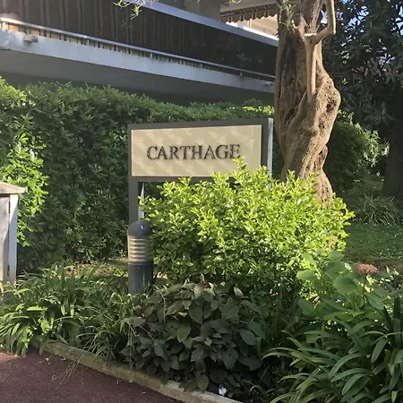 Beau Proche Des Plages Piscine Cogolin